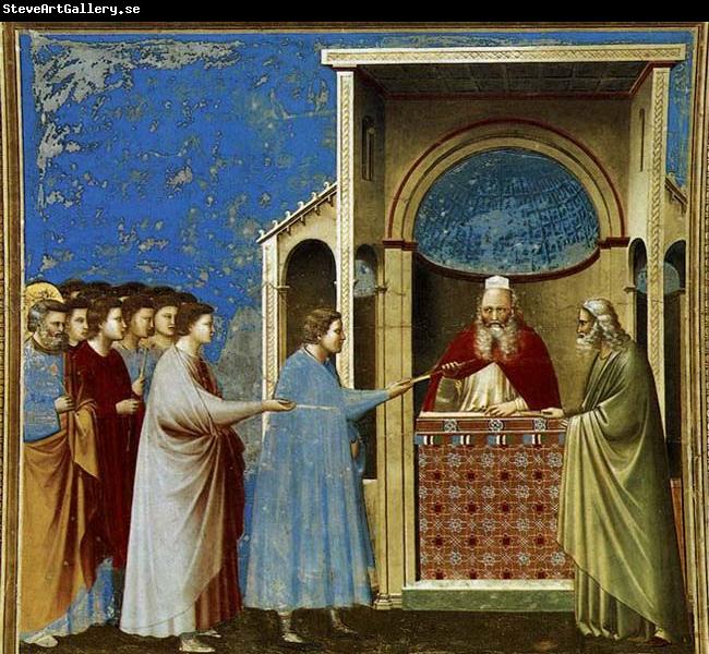 GIOTTO di Bondone The Bringing of the Rods to the Temple